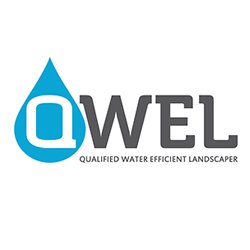 qwel-1